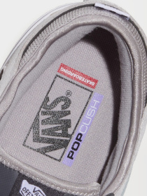 Кеды низкие Vans SKATE ROWLEY модель VN000DA25TC1 Фото