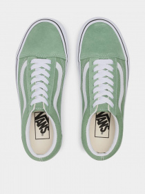 Кеды низкие Vans Pig Suede Old Skool модель VN0A3WKT4G61 Фото