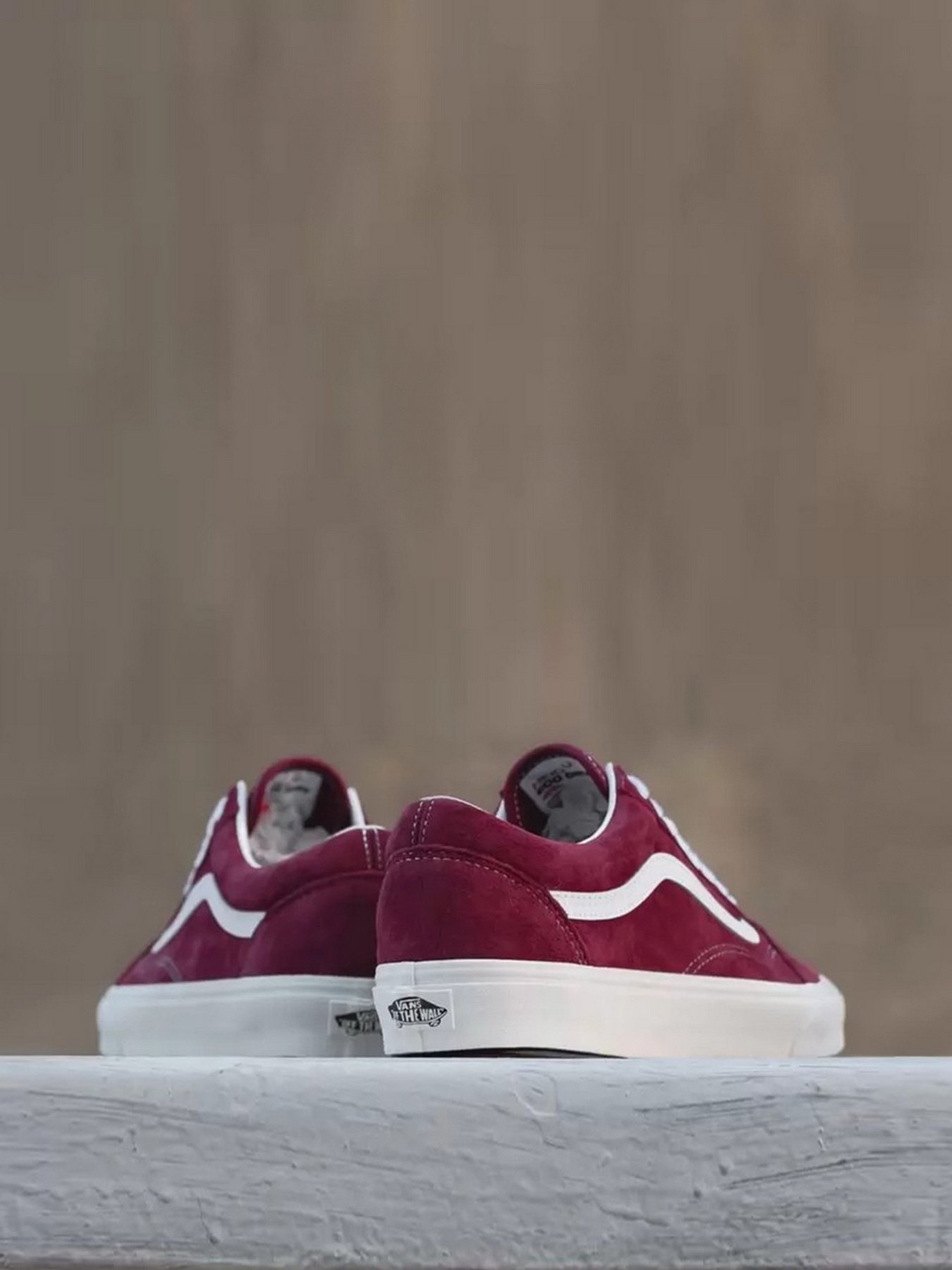 Кеди низькі Vans Old School модель VN0A38G19G81 Фото