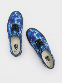 Кеды низкие Vans Lightning Authentic модель VN0A5HZS9FT1 Фото