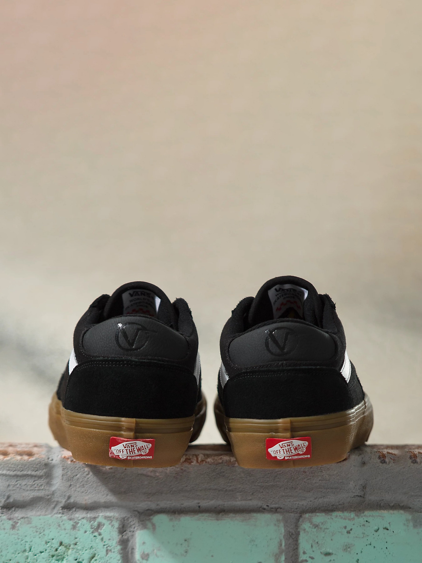 Кеди низькі Vans  Rowan Zorilla модель VN0A5JICB9M1 Фото