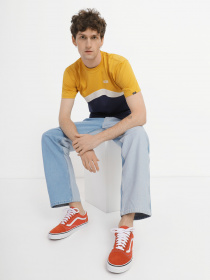 Кеди низькі Vans Old Skool модель VN0005UFGWP1 Фото