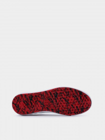 Кеды низкие Vans Old Skool модель VN0005UZBWT1 Фото