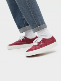 Кеды низкие Vans Authentic модель VN0A5HZS9G81 Кеды низкие Vans Authentic модель VN0A5HZS9G81 Фото