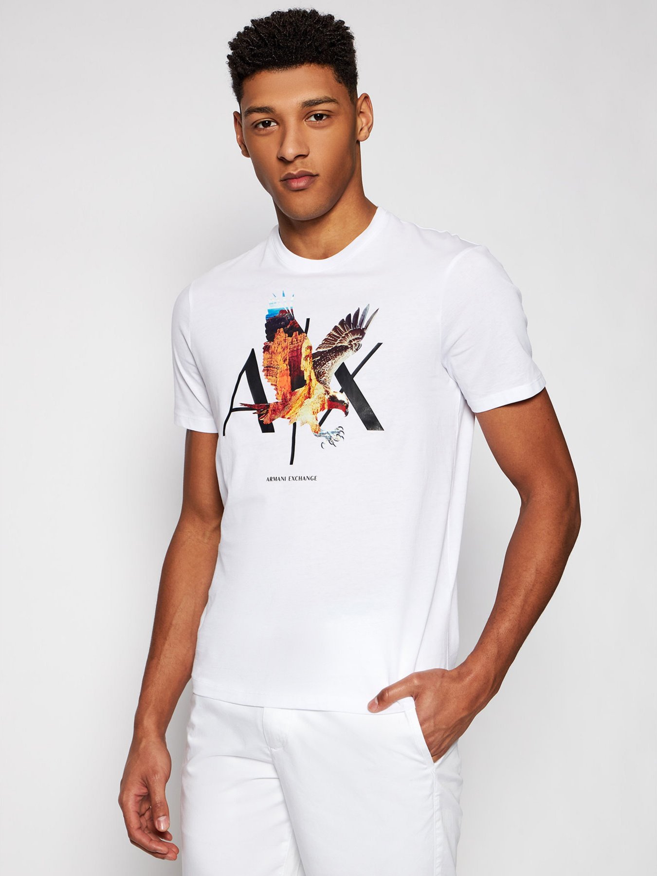 Футболки и поло Armani Exchange модель 3KZTNE-ZJH4Z-1100 Фото