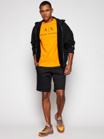 Повседневные шорты Armani Exchange модель 8NZS42-ZNMTZ-1200 Фото