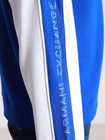 Свитшот Armani Exchange модель 6HZMAT-ZJ7RZ-9573 Фото
