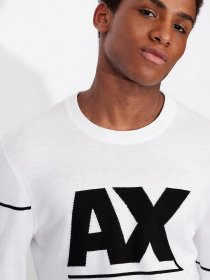 Джемпер Armani Exchange модель 6KZM1D-ZMN9Z-1100 Фото