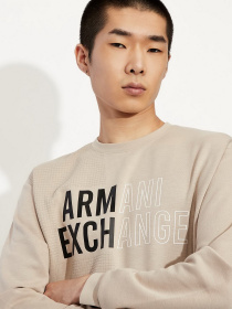 Свитшот Armani Exchange модель 6KZMFA-ZJY1Z-2706 Фото