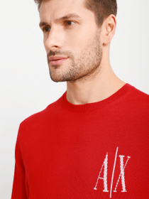 Джемпер Armani Exchange модель 8NZM4R-ZM8AZ-1496 Фото