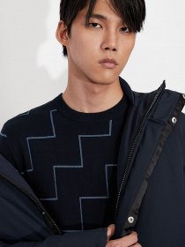 Джемпер Armani Exchange модель 6KZM1E-ZM1DZ-2588 Фото