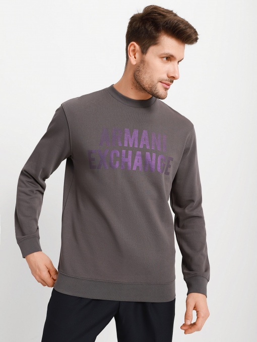 Свитшот Armani Exchange модель 6KZMGR-ZJ8CZ-1949 Фото