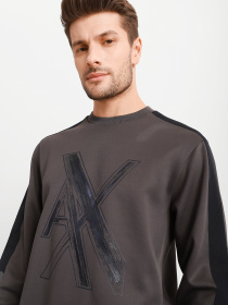 Свитшот Armani Exchange модель 6KZMLR-ZJKQZ-1965 Фото
