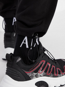 Брюки повседневные Armani Exchange модель 6KZPGF-ZJ5GZ-1200 Фото