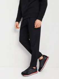 Брюки повседневные Armani Exchange модель 6KZP02-ZNIQZ-1510 Фото