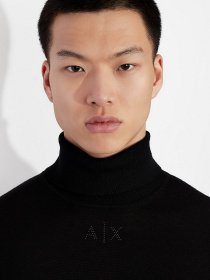 Водолазка Armani Exchange модель 6KZM1J-ZMS8Z-1200 Фото