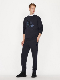 Свитшот Armani Exchange модель 6KZMFU-ZJ2RZ-1510 Фото