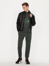 Свитшот Armani Exchange модель 6KZMFU-ZJ2RZ-1863 Фото