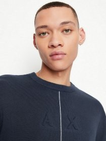 Джемпер Armani Exchange модель 3LZM1D-ZMQ7Z-25CL Фото