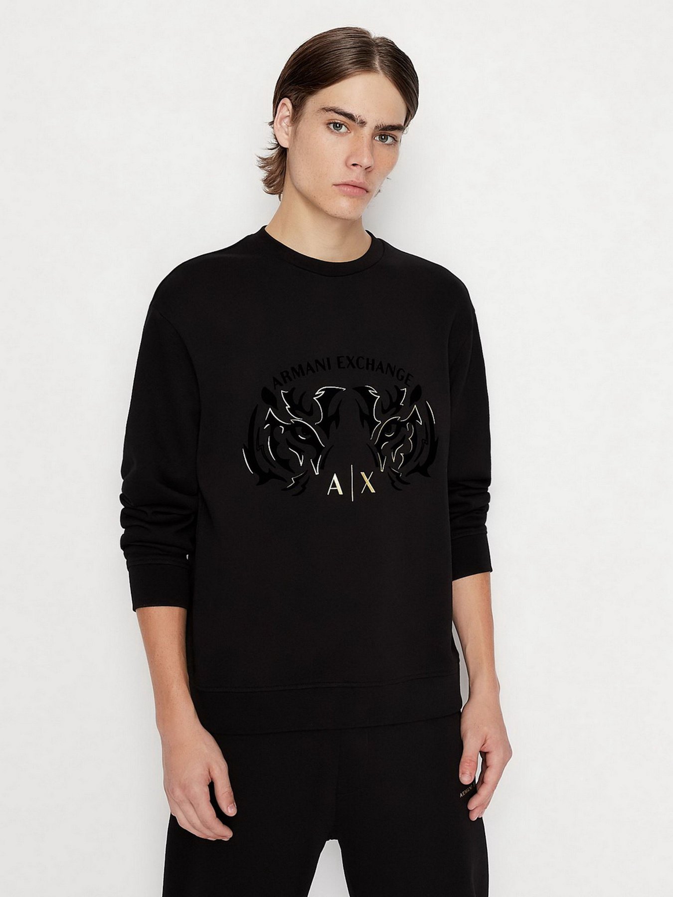 Світшот Armani Exchange модель 3LZMGG-ZJ1ZZ-1200 Фото