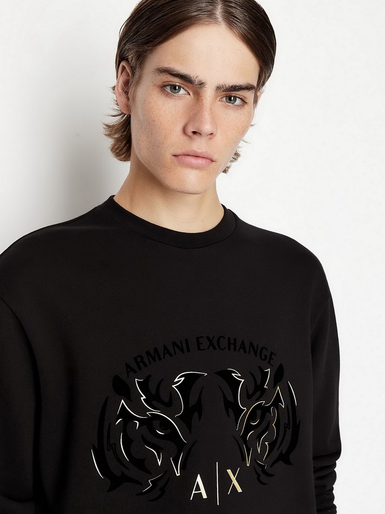 Свитшот Armani Exchange модель 3LZMGG-ZJ1ZZ-1200 Фото