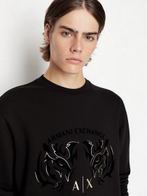 Свитшот Armani Exchange модель 3LZMGG-ZJ1ZZ-1200 Фото