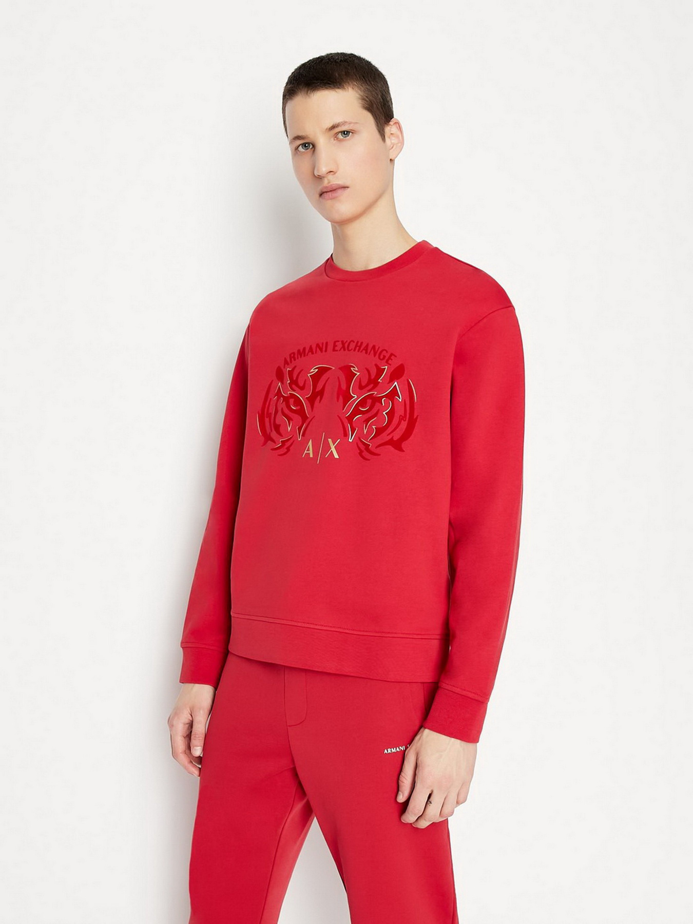 Світшот Armani Exchange модель 3LZMGG-ZJ1ZZ-1435 Світшот Armani Exchange модель 3LZMGG-ZJ1ZZ-1435 Фото