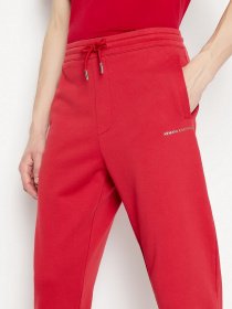 Штаны спортивные Armani Exchange модель 3LZPGG-ZJ1ZZ-1435 Фото