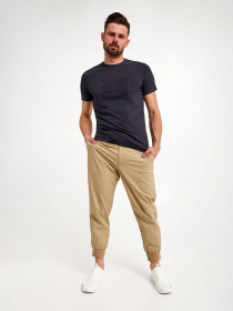 Футболка Armani Exchange модель 3LZTBW-ZJE6Z-1510 Футболка Armani Exchange модель 3LZTBW-ZJE6Z-1510 Фото