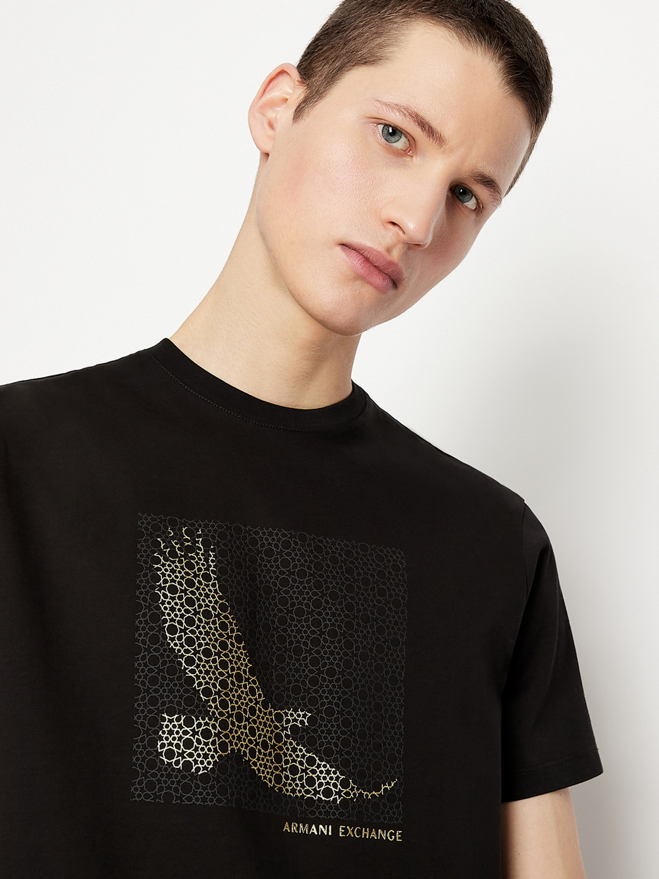 Футболки и поло Armani Exchange модель 3LZTND-ZJ9AZ-02DX Футболки и поло Armani Exchange модель 3LZTND-ZJ9AZ-02DX Фото