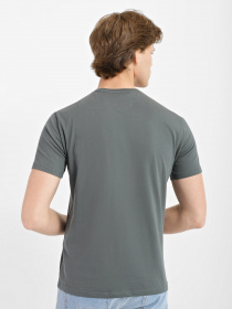 Футболка Armani Exchange модель 8NZTPP-ZJH4Z-1839 Футболка Armani Exchange модель 8NZTPP-ZJH4Z-1839 Фото