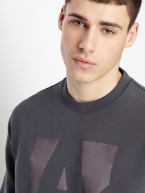 Свитшот Armani Exchange модель 6LZMHB-ZJXBZ-1978 Свитшот Armani Exchange модель 6LZMHB-ZJXBZ-1978 Фото