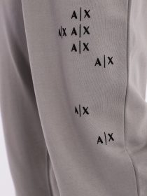 Спортивні штани Armani Exchange модель 6LZPAS-ZJBWZ-1979 Фото