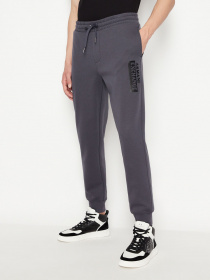 Штаны спортивные Armani Exchange модель 6LZPBE-ZJCAZ-1978 Фото