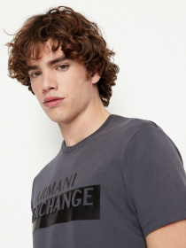 Футболка Armani Exchange модель 6LZTBE-ZJGCZ-1510 Фото
