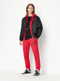 Кофта Armani Exchange Lunar New Year модель 3RZMEA-ZJ1ZZ-1435 Фото