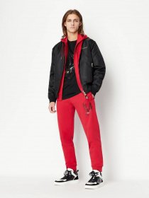 Штаны спортивные Armani Exchange Lunar New Year модель 3RZPEB-ZJ1ZZ-1435 Фото