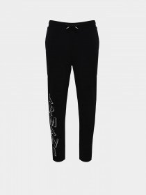 Спортивні штани Armani Exchange модель 6RZPBA-ZJBWZ-1200 Фото