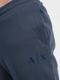 Спортивні штани Armani Exchange модель 6RZPBA-ZJBWZ-1510 Фото