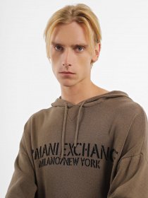 Худі Armani Exchange модель 6RZM6D-ZM3CZ-1784 Фото