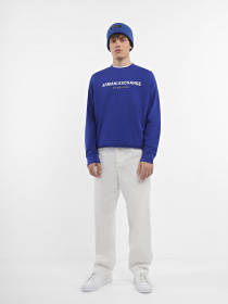 Свитшот Armani Exchange модель 6RZMHG-ZJDGZ-15AE Фото