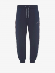Спортивні штани Armani Exchange модель 6RZPLD-ZJZGZ-1583 Фото