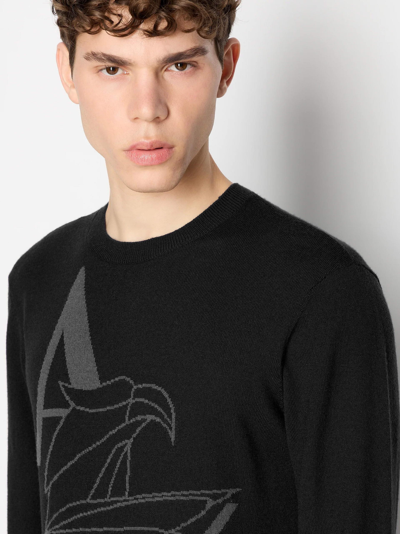 Джемпер Armani Exchange модель 6RZM1D-ZMM9Z-1200 Фото