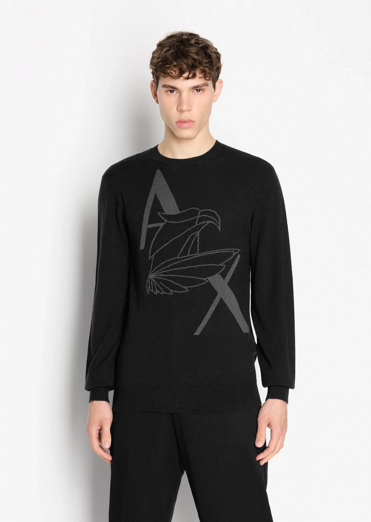 Джемпер Armani Exchange модель 6RZM1D-ZMM9Z-1200 Фото