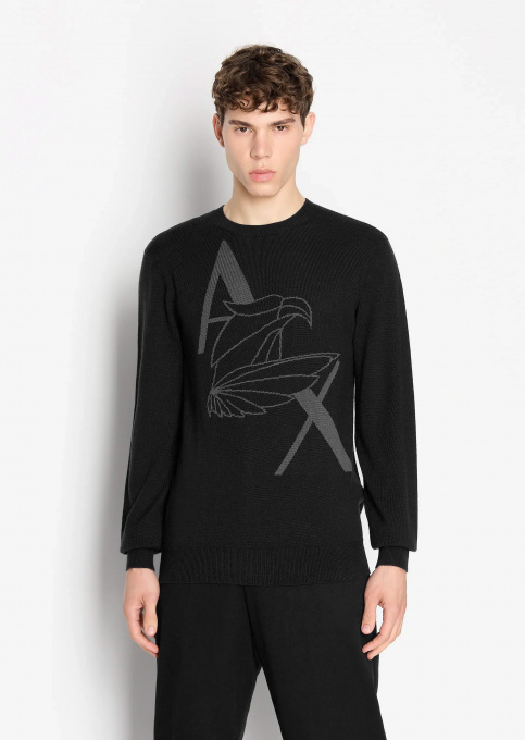 Джемпер Armani Exchange модель 6RZM1D-ZMM9Z-1200 Фото