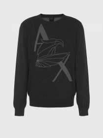 Джемпер Armani Exchange модель 6RZM1D-ZMM9Z-1200 Фото