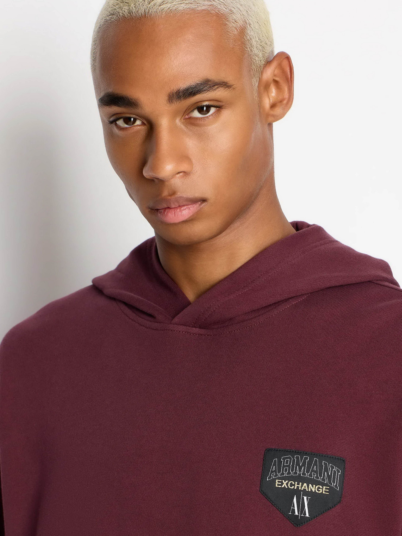 Худі Armani Exchange модель 6RZMJF-ZJDPZ-14AU Фото