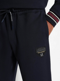 Спортивні штани Armani Exchange модель 6RZPJF-ZJDPZ-1510 Фото