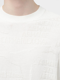 Джемпер Armani Exchange модель 3DZM6J-ZMQ7Z-51AQ Фото