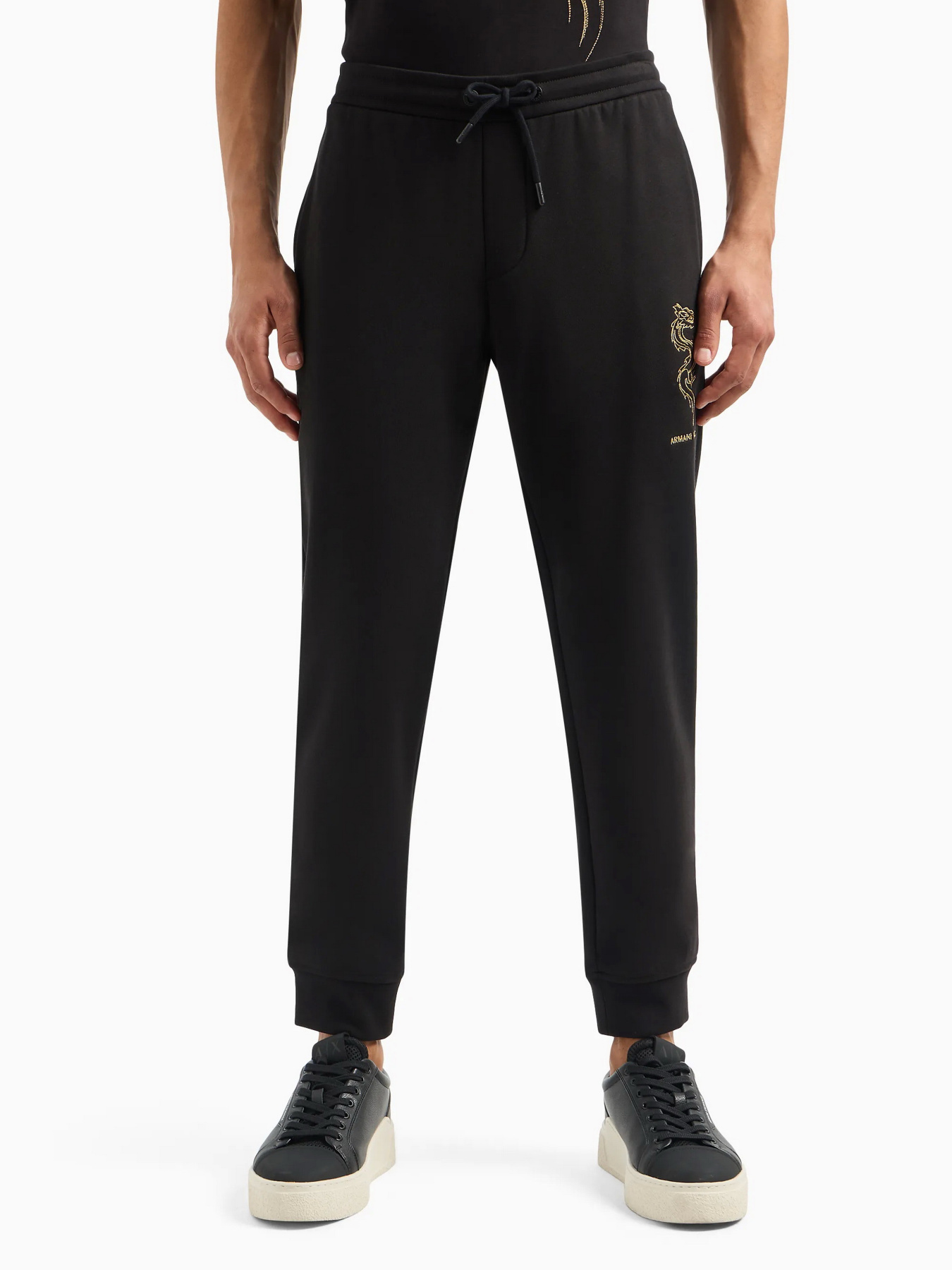 Спортивні штани Armani Exchange модель 3DZPDG-ZJ4XZ-1200 Спортивні штани Armani Exchange модель 3DZPDG-ZJ4XZ-1200 Фото